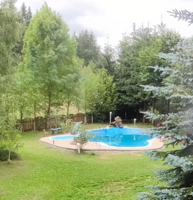 Întorsura Buzăului Cabanita 빌라 외부 사진