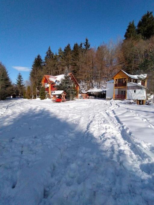 Întorsura Buzăului Cabanita 빌라 외부 사진
