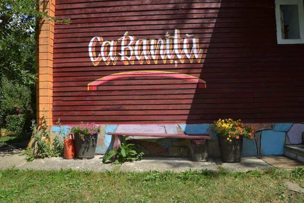 Întorsura Buzăului Cabanita 빌라 외부 사진
