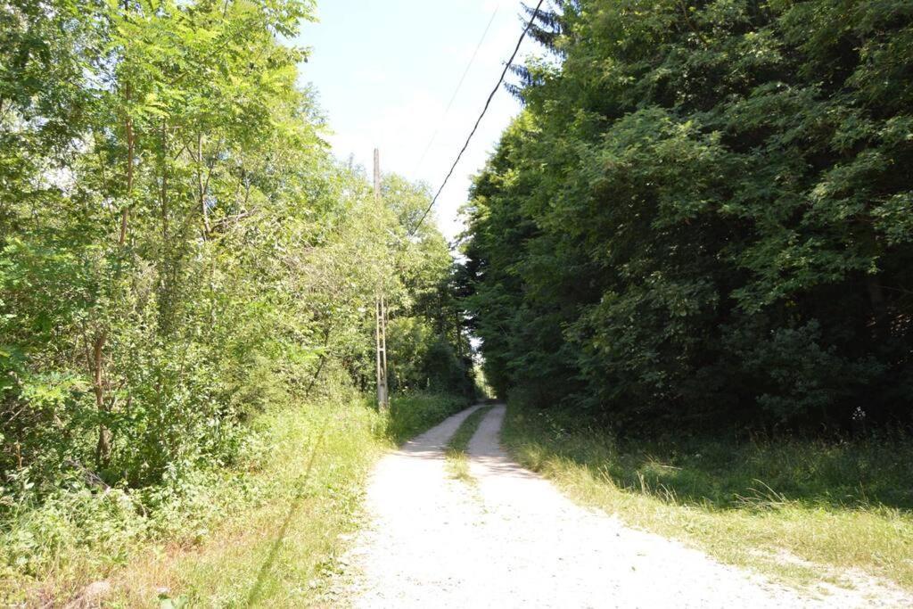 Întorsura Buzăului Cabanita 빌라 외부 사진