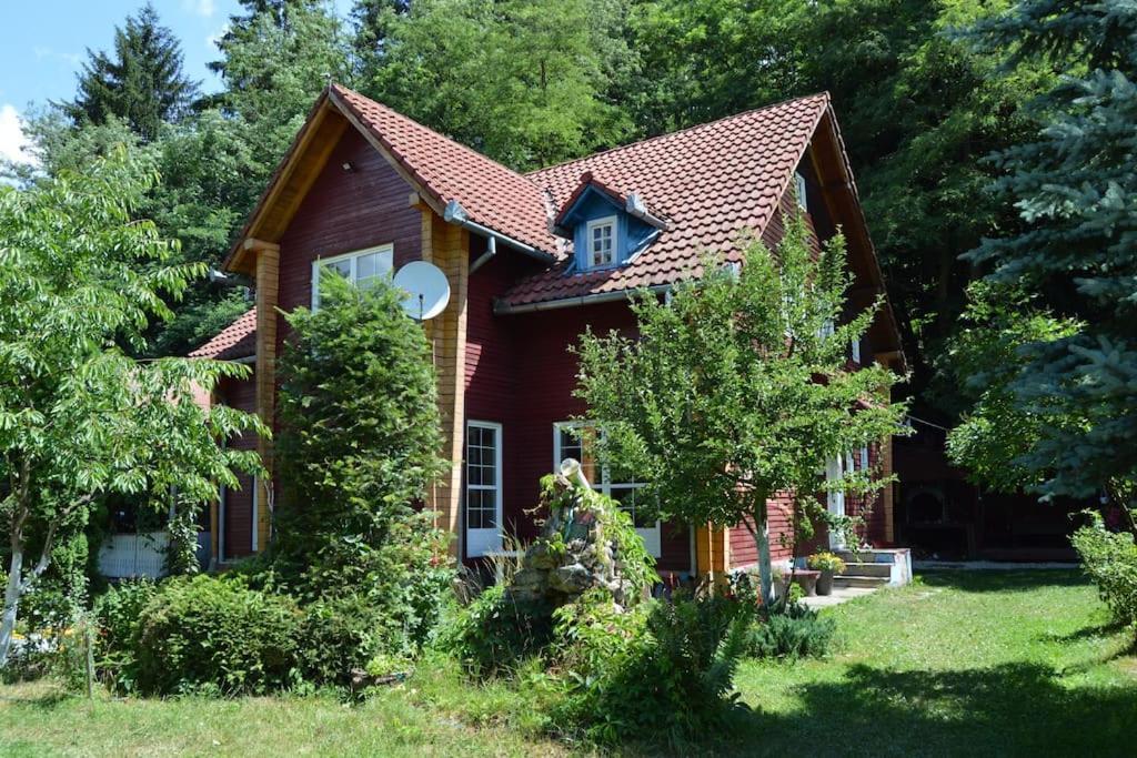 Întorsura Buzăului Cabanita 빌라 외부 사진