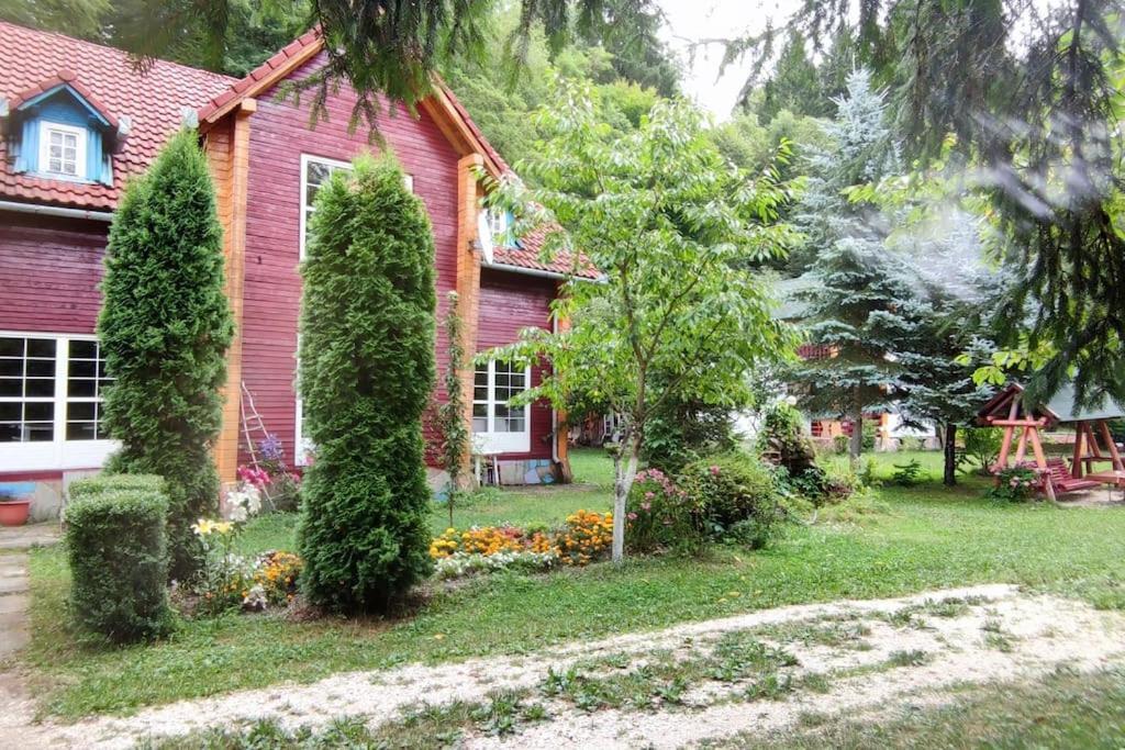Întorsura Buzăului Cabanita 빌라 외부 사진