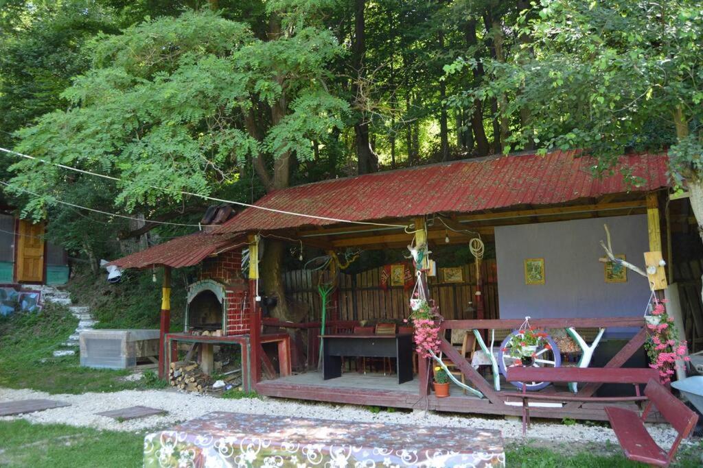 Întorsura Buzăului Cabanita 빌라 외부 사진